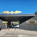 천곡황금박쥐동굴 이미지