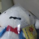 흰둥이네 인형뽑기 이미지