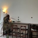 에코중앙로R | 미사역 카페 라이드온애스터로이드 미사 호수공원 감성 디저트 맛집