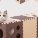 묘하우스 이미지