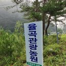 여행숲 이미지