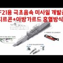 KF-21용 극초음속 미사일 개발 중. 지르콘+아방가르드 혼혈방식 이미지