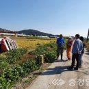 남일면 행정복지센터 이미지