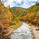 명산회관 Daum카페