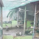 광주조류원 이미지