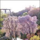 호암농장2 이미지