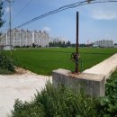 배산로 24길 이미지