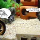 개그스토리 이미지