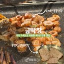 43 | [대구맛집] 대구 장관동 맛집 금막창 종로본점 누룩소금과 숙성 막창의 만남 내돈내산 후기!
