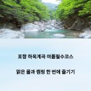 옥계동대산펜션 | 포항 하옥계곡, 여름 최고의 피서지! 맑은 물·캠핑·물놀이 완벽 가이드