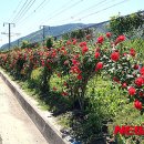 시도11호선 이미지