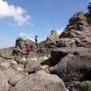 학암포 분점도 이미지