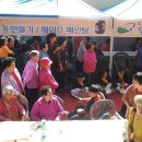 느티나무 할아버지 이미지