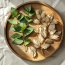 삼백초한의원 이미지