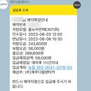 선흘다움 | 8월 성수기 제주도 가성비 3박4일 여행 숙소 렌터카 항공 내돈내산 예약