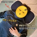 디자인가온누리 | 집에서 하는 어싱 맘에 들어 또 사버린 미라클어싱 어싱베개 후기