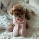 씨유(CU) 의정부서부점 | 너와 내가 마주할 낮과 너와 내가 맞이할 밤에