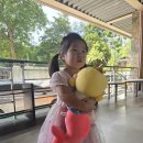 금빛나라어린이집 이미지