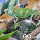 남이초병설유치원 이미지