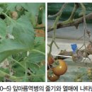 신농팜케미컬 이미지