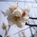 김해건설공업고등학교 이미지