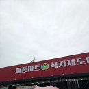 세종약국 | “구미 산동 세종마트 식자재도매 솔직 방문기 🛒 신선한 회부터 약국까지 다 있다!”