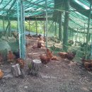 개척농장 이미지