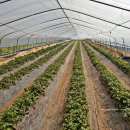 무내미농장 이미지