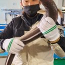 용이수산 이미지