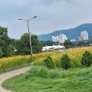 장수촌공원 Daum카페