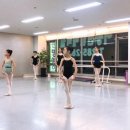 이승진발레학원 이미지