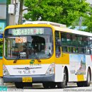 간선-36 이미지