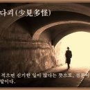 소견다괴(少見多怪) 이미지