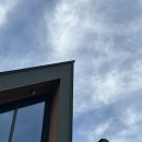 The heartwood 이미지