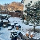 세라의 작은정원 이미지