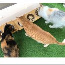 아이조아요양보호소 안양점 이미지