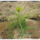 성호농장 이미지