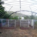 정일품농장 이미지