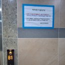 올리브영대전터미널점 | 다이소 가 변했어요, 완전정복/ 시간 벌어 드릴께요