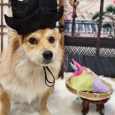 워니시티 이미지