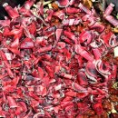 양지단비사슴농장 이미지