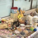 블루밍 펫 살롱 이미지