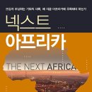 넥스트 아프리카 : 뜨겁게 부상하는 기회의 대륙, 왜 지금 아프리카에 주목해야 하는가[미래의창 출판사] 북 리뷰 이미지