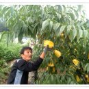 우정농장 이미지