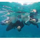 키즈웨일 수영장 이미지