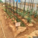 유민농장 이미지