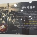 영천부산가야밀면
