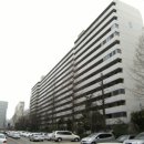 강남-217 이미지