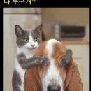 웃으면복이와요 이미지