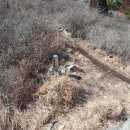 봉화산커피 이미지